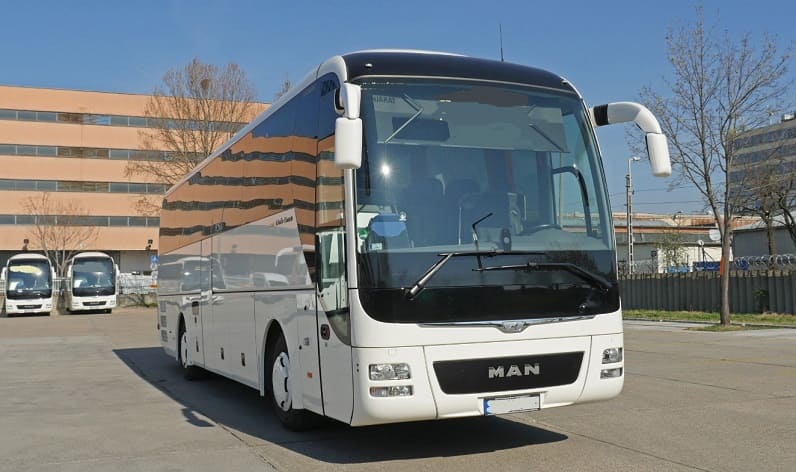 Moldova: Buses operator in Ialoveni in Ialoveni and Romania