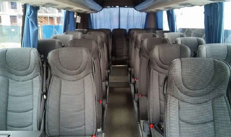 Romania: Coach hire in Moldova in Moldova and Codru