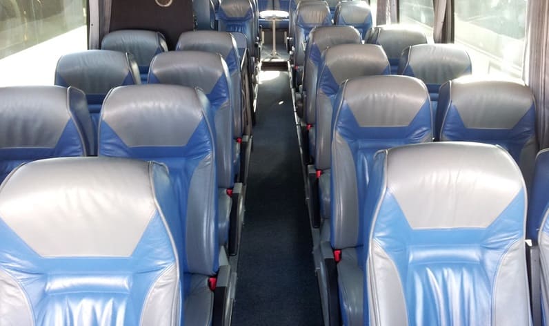 Romania: Coaches hire in Moldova in Moldova and Cantemir